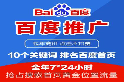 行业领先企业的网络推广与竞价经验